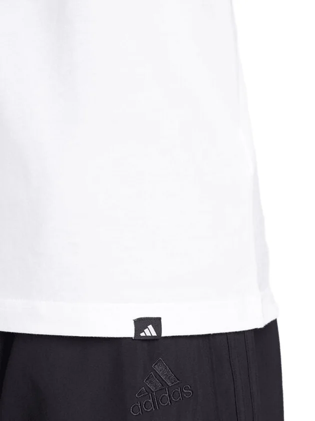 Pennant T