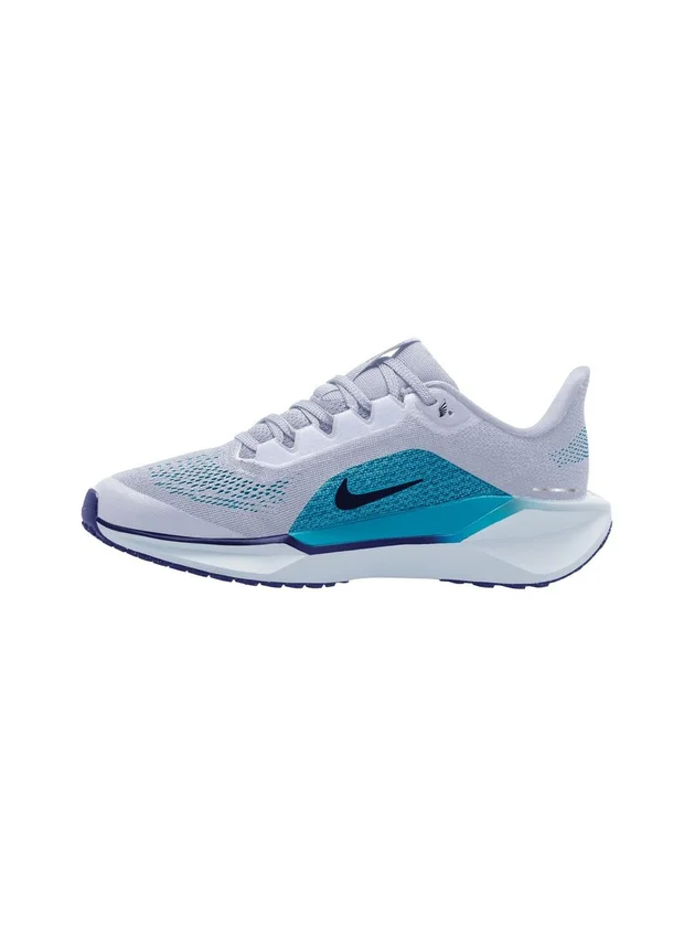 Air Zoom Pegasus 41
