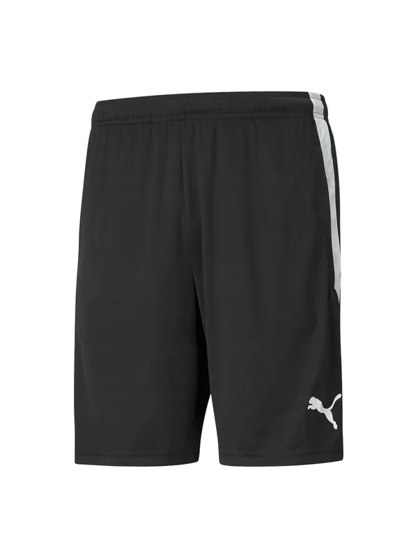 Teamliga Training Shorts