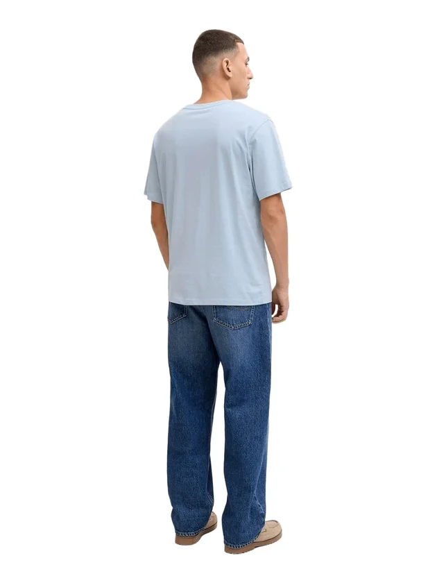 Jjcole Print Tee Ss Crew Neck Ln