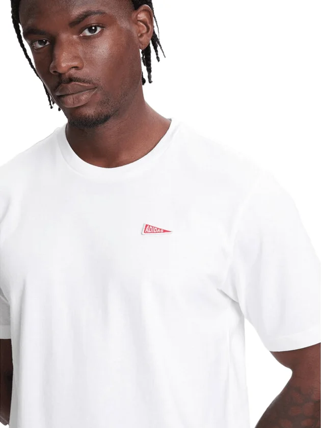 Pennant T