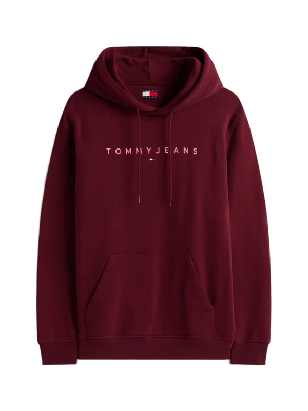 Reg Linear Logo Hoodie Ext