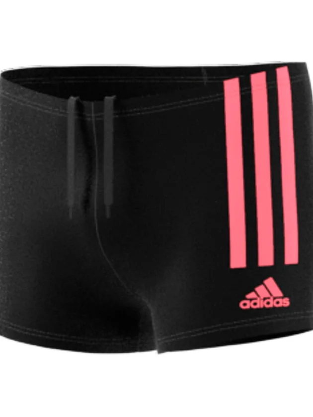 3S Brief