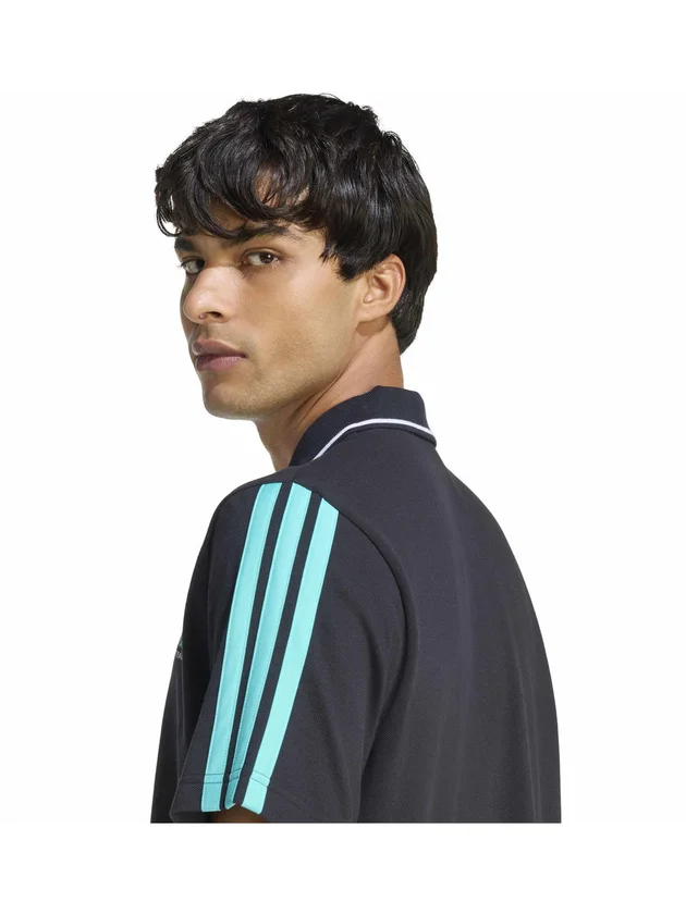 Mer DNA Polo