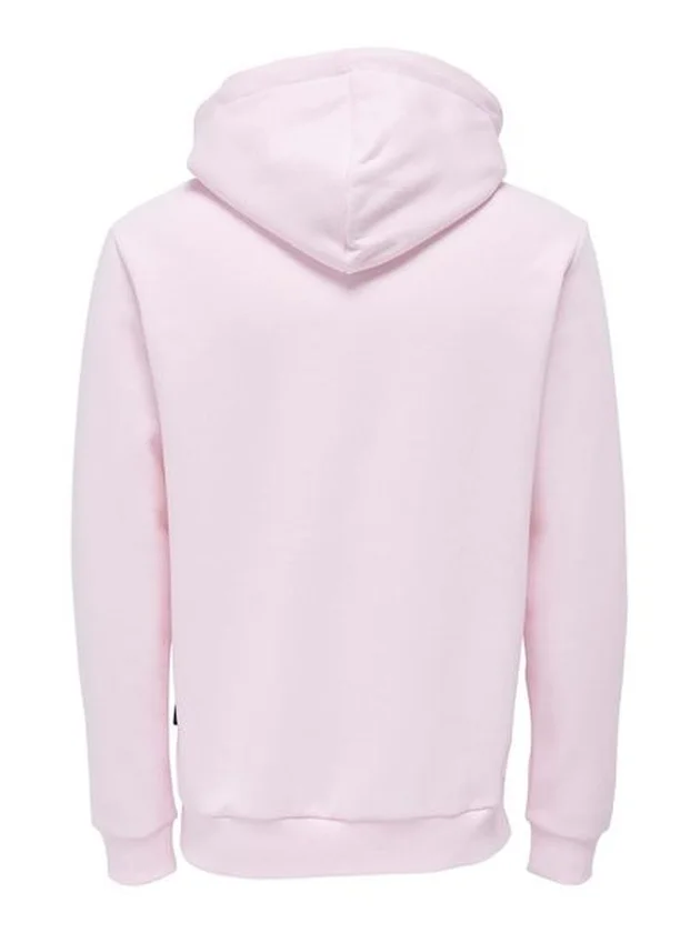 Onsceres Hoodie Sweat Noos