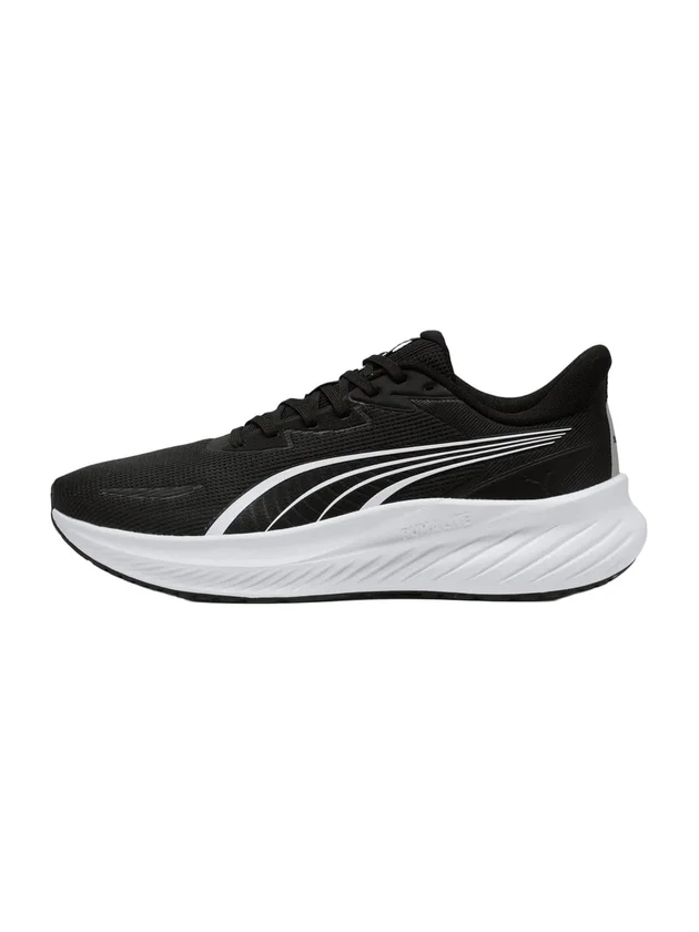 Pounce Lite 2