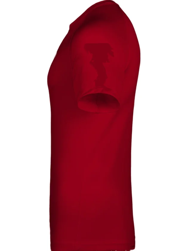 Dri-FIT Park VIII JSY SS