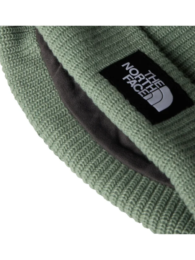Salty Lined Beanie