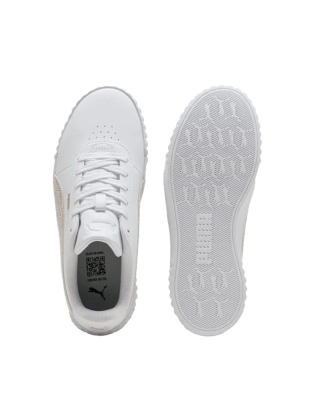 Carina 3.0 Topcat