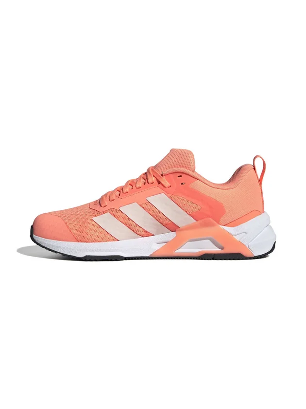 Dropset Control Trainer