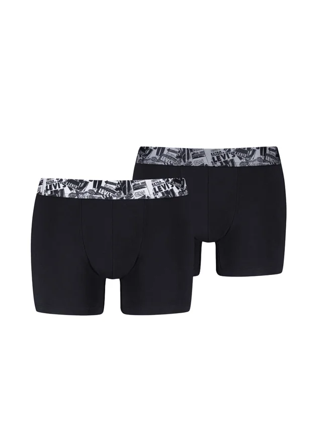 Newspaper WB Boxer Brief 2P