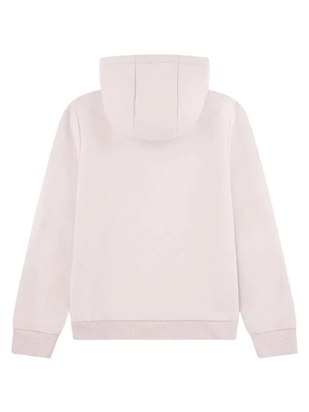 Core Fleece Pullover Hoodi