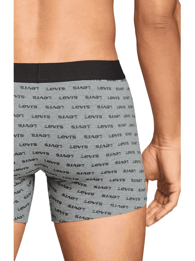 Logo Aop Boxer Brief 2P