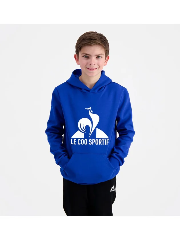Ess Hoody N3