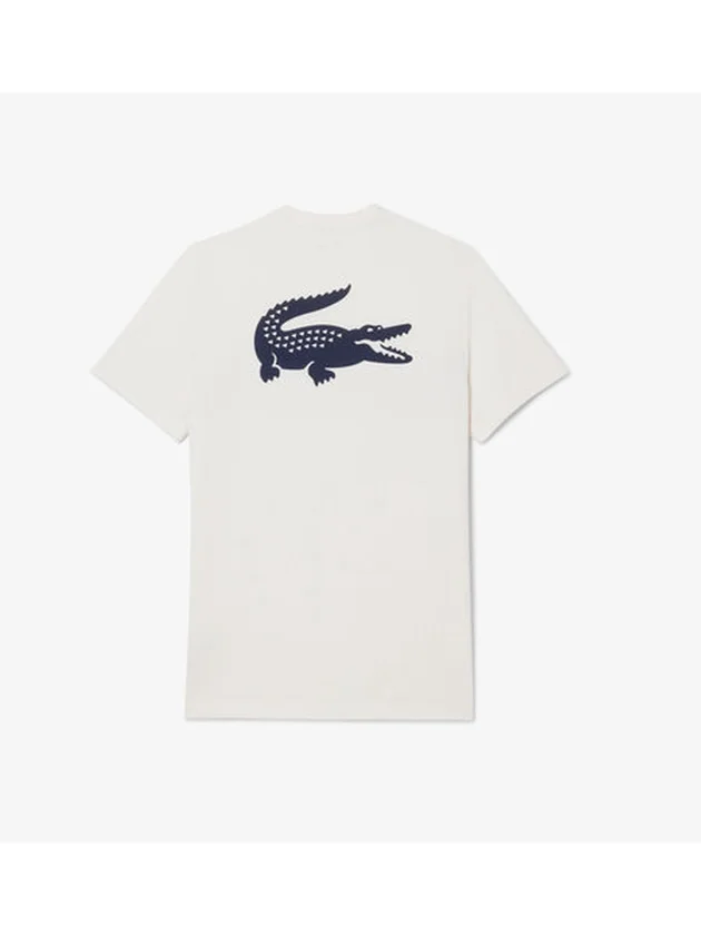 Technical Capsule