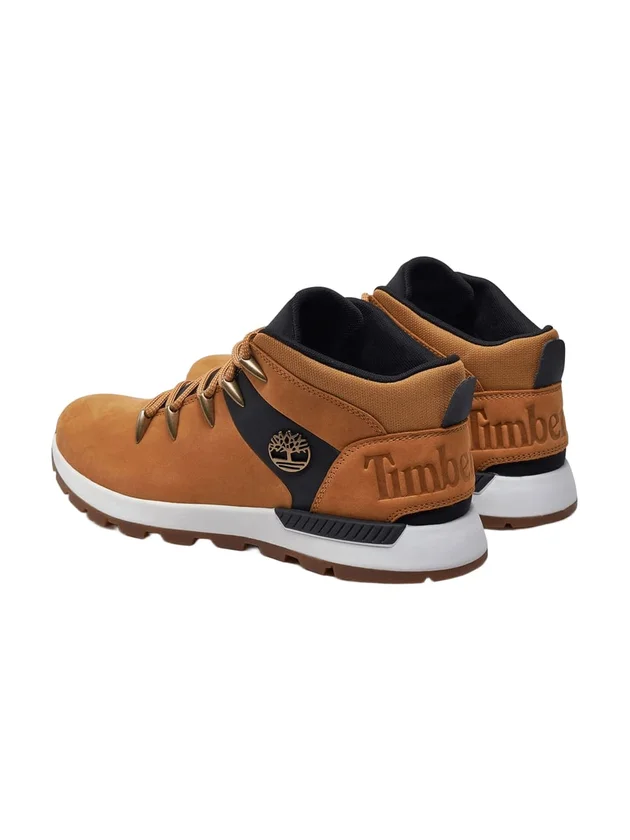 Mid Lace Up Sneaker
