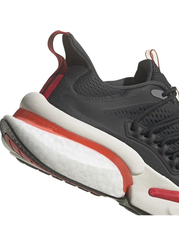 Alphaboost V1