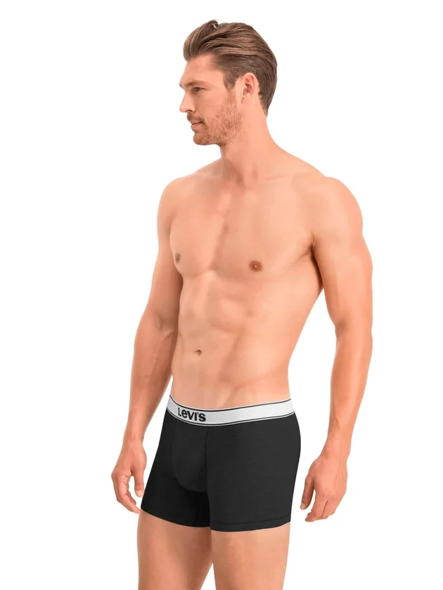 Vntg Htr Boxer Brief 2P