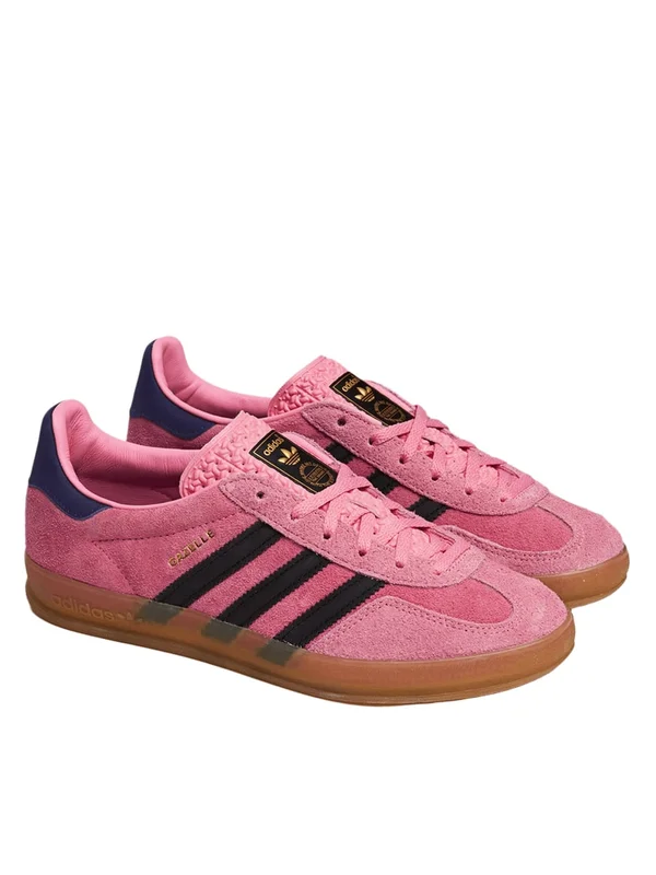 Gazelle Indoor