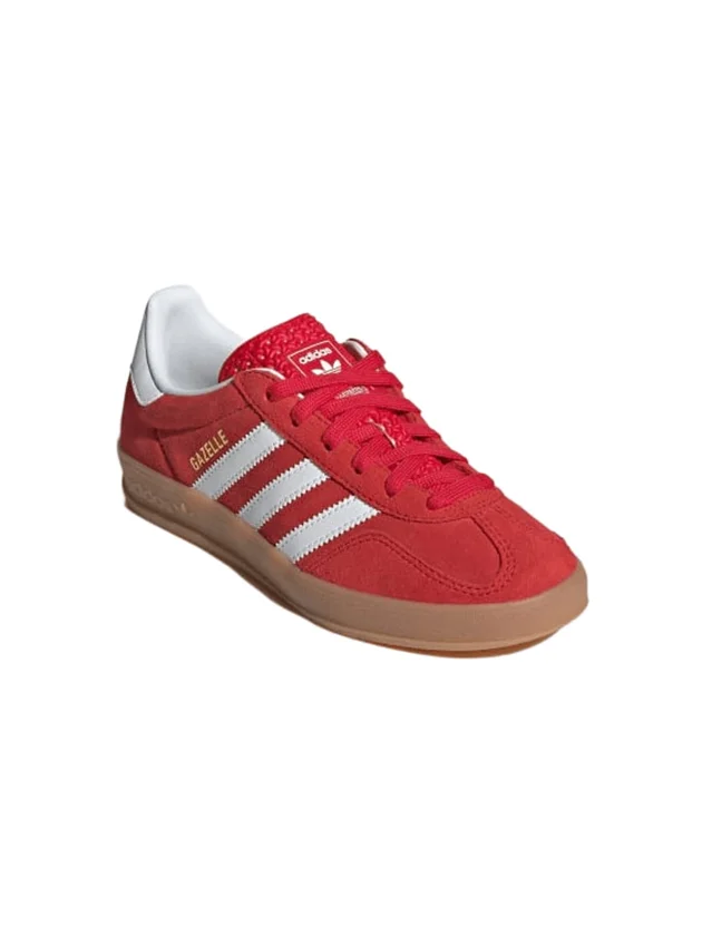 Gazelle Indoor