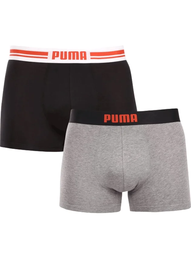Everyday Placed Logo Boxers 2P