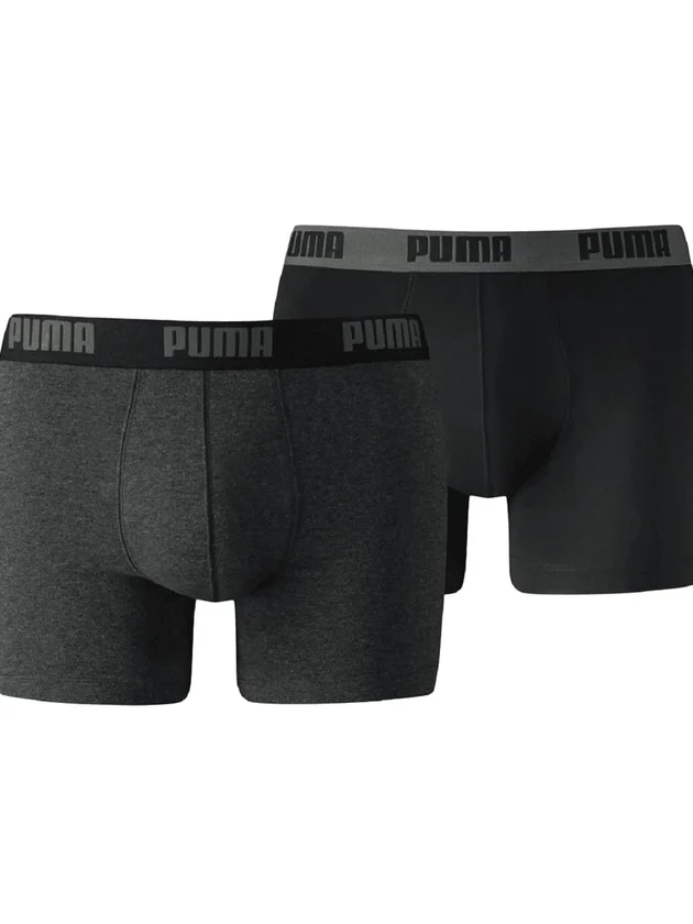 Basic Boxer 2P
