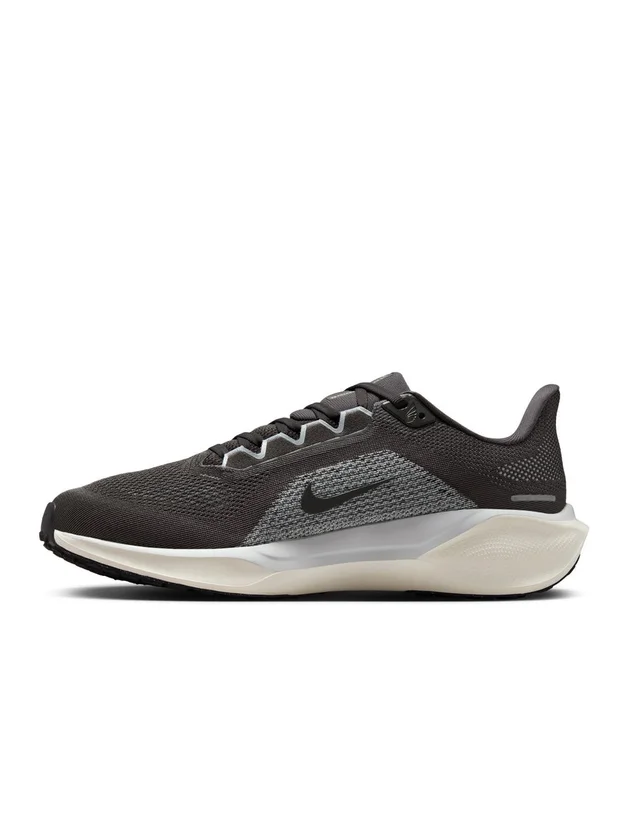Air Zoom Pegasus 41