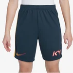 ARMORY NAVY/LASER ORANGE