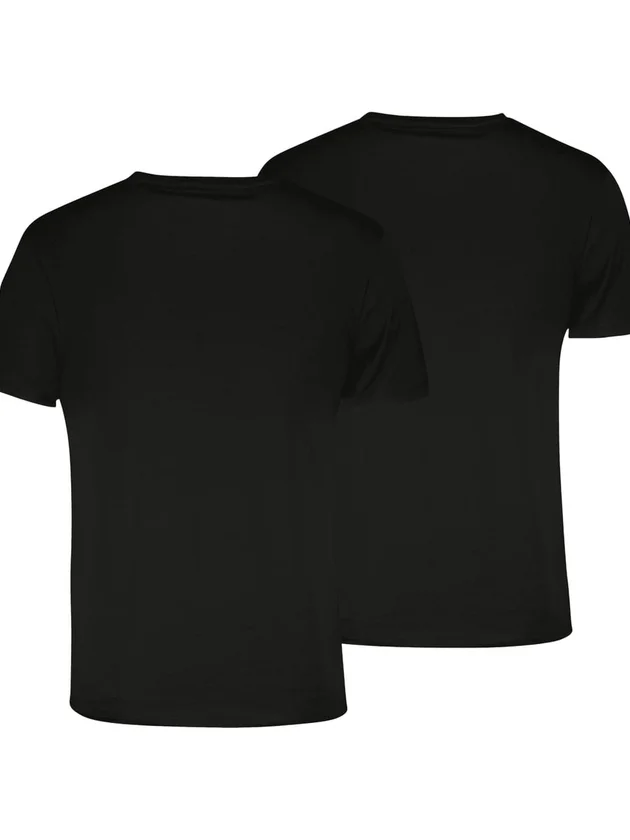 Everyday V Neck Tee 2P