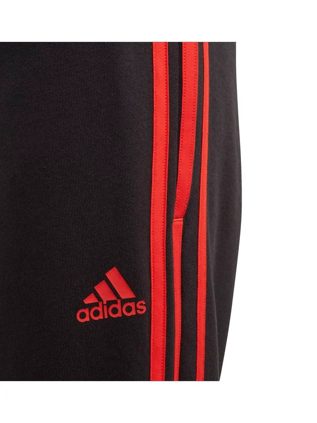 B Bold Pant