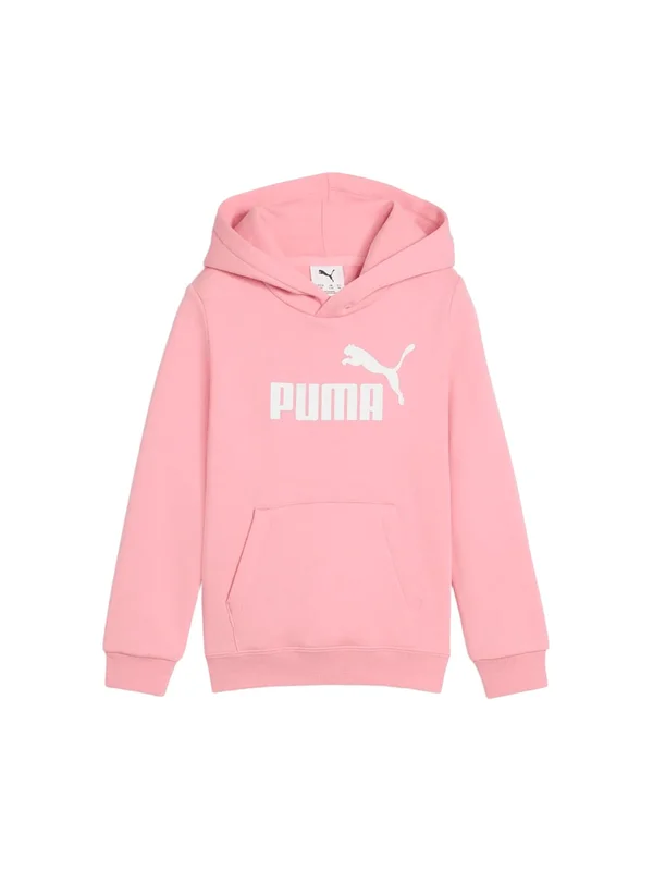Ess No 1 Logo Hoodie Fl