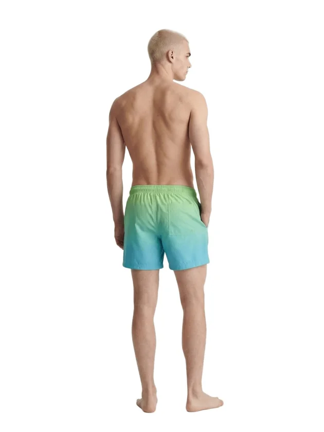 Horizon Dip Dye Swim Shorts