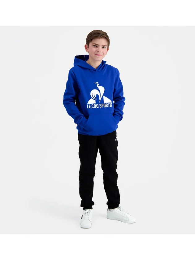 Ess Hoody N3