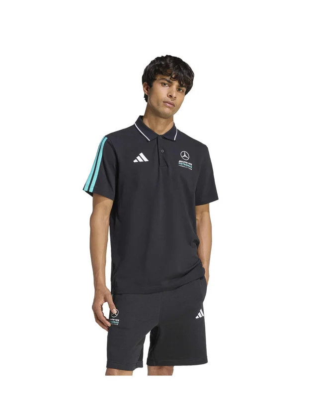 Mer DNA Polo