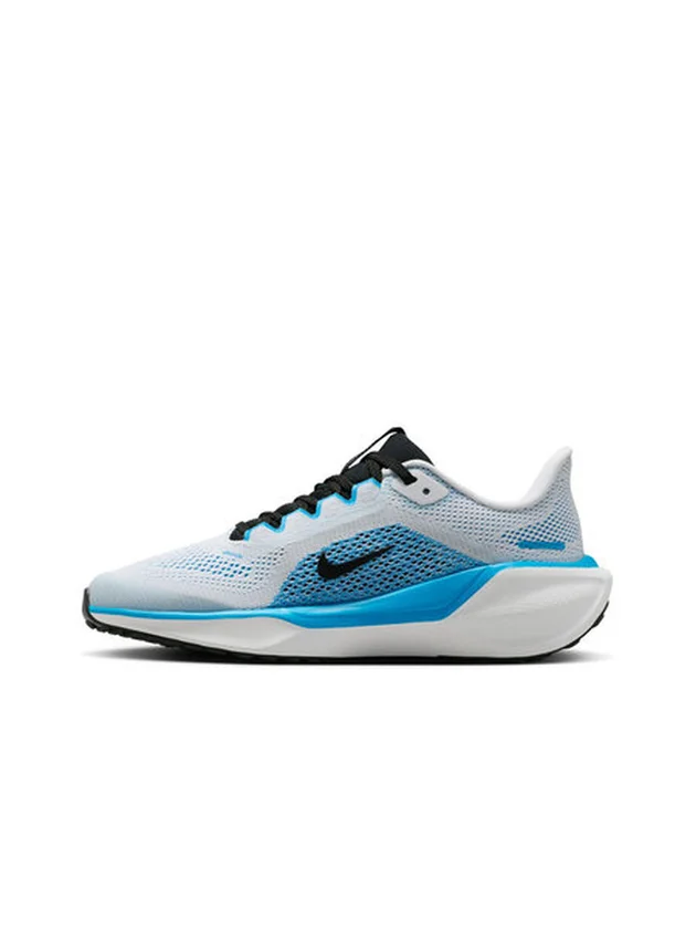 Air Zoom Pegasus 41