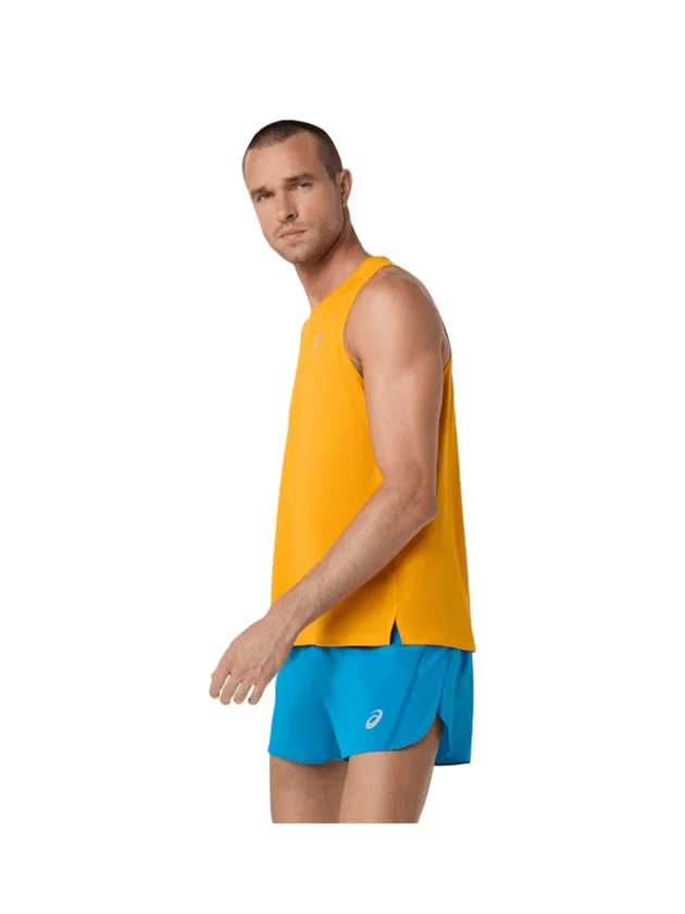 Core Singlet