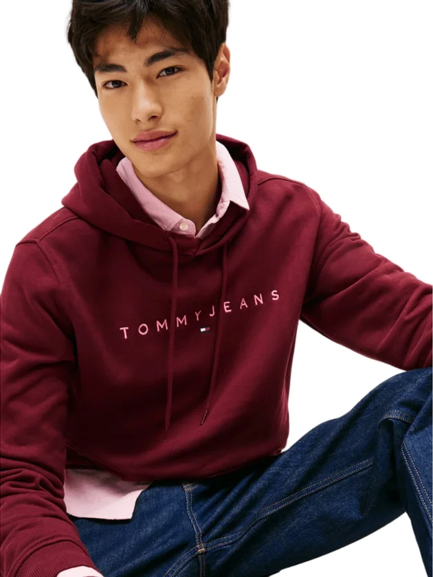 Reg Linear Logo Hoodie Ext