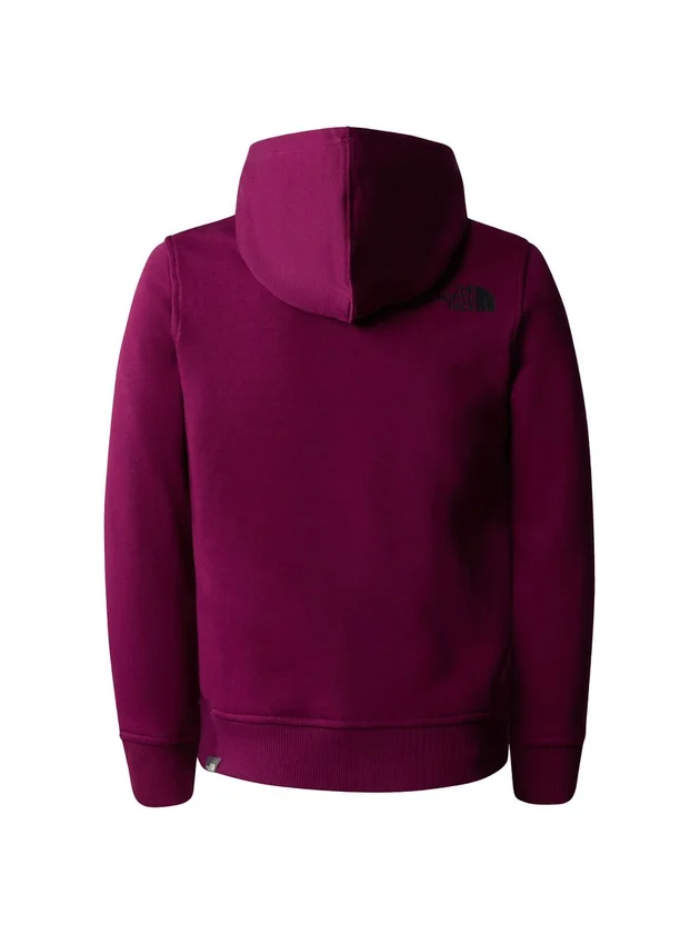 Teens Box P O Hoodie