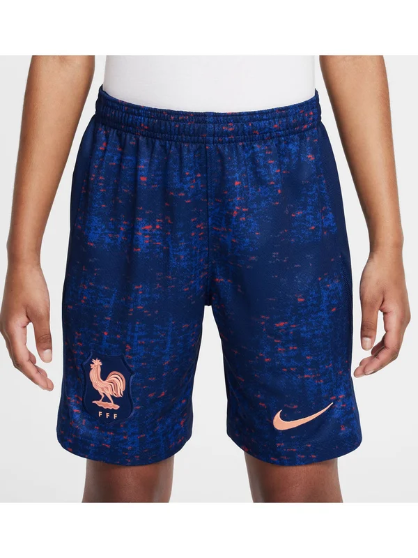 France Replica Stadium Dri-FIT Domicile