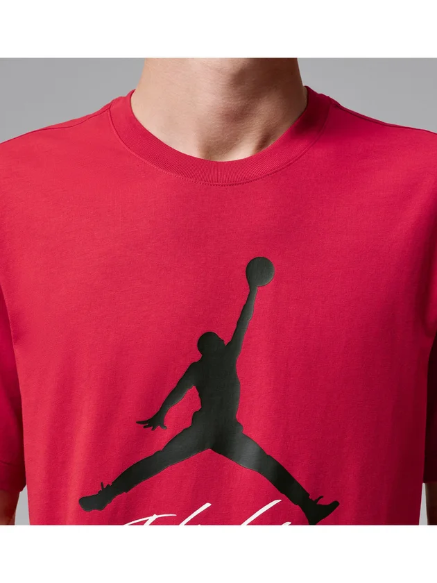Jumpman Flight HBR Tee