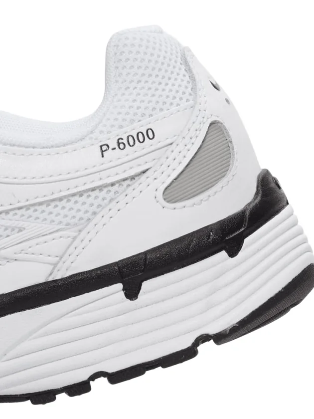 P-6000