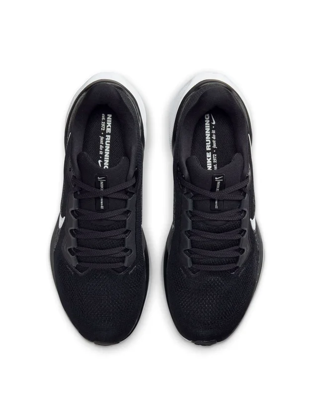 Air Zoom Pegasus 41