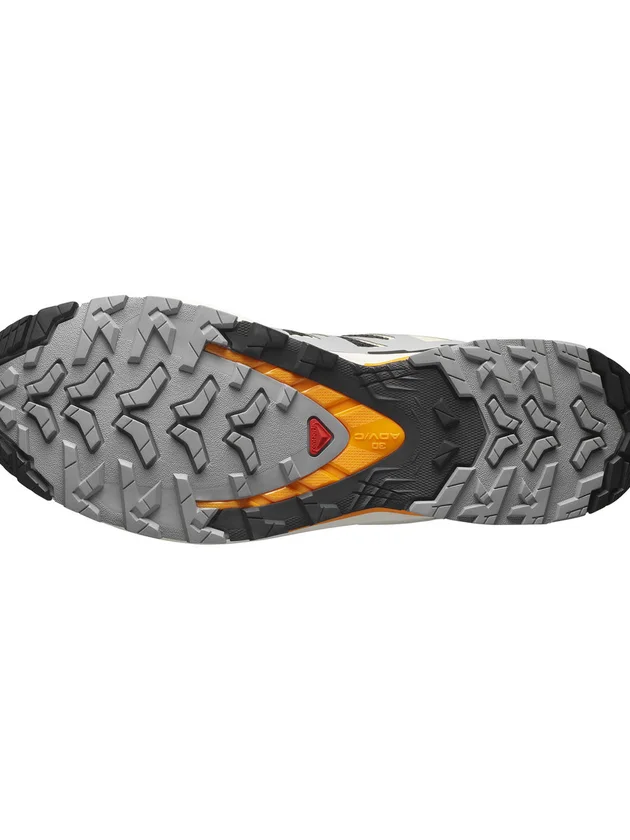Xa Pro 3D V9
