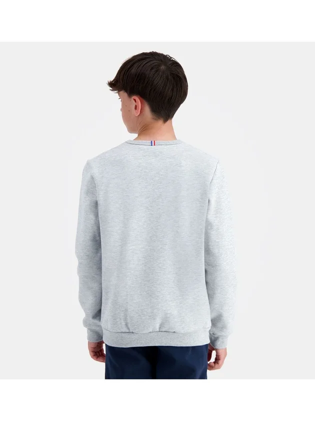 Ess Crew Sweat N3
