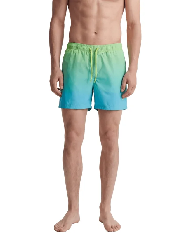 Horizon Dip Dye Swim Shorts