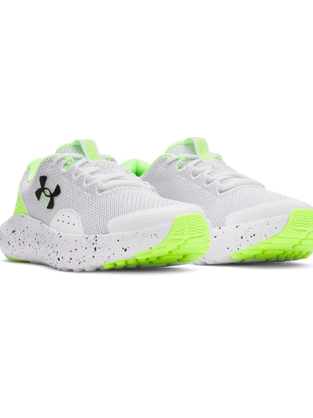 Surge 4