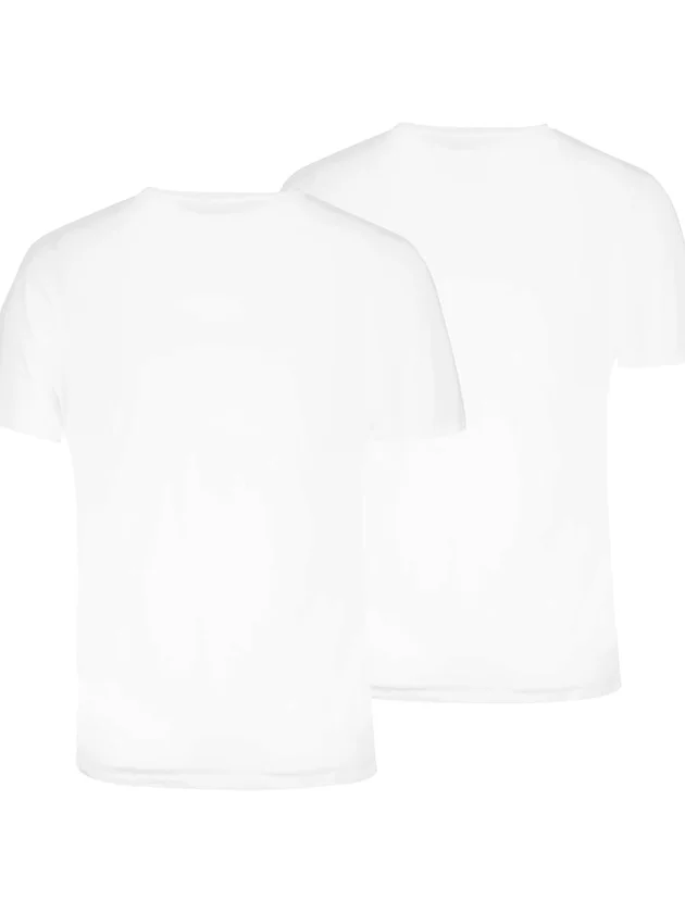 Everyday V Neck Tee 2P