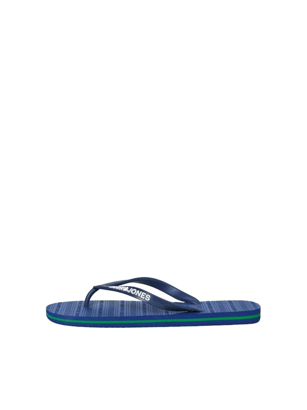 Basic Flip Flop LN