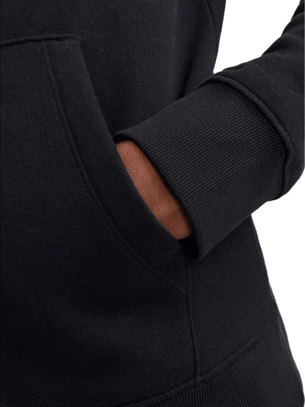 Jjestar Basic Sweat Hood Noos