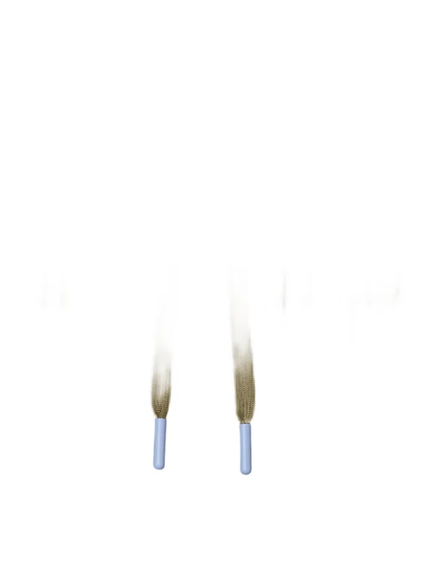 Technical Capsule